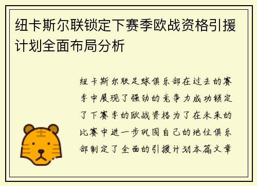 纽卡斯尔联锁定下赛季欧战资格引援计划全面布局分析