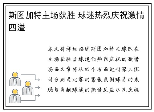 斯图加特主场获胜 球迷热烈庆祝激情四溢